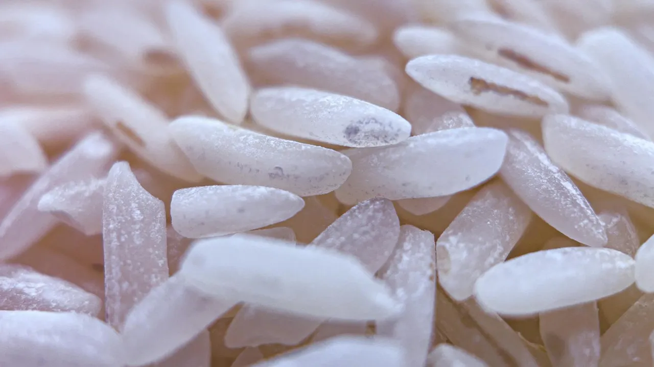 O que acontece se eu não pagar o domínio em Moçambique? - Imagem 2