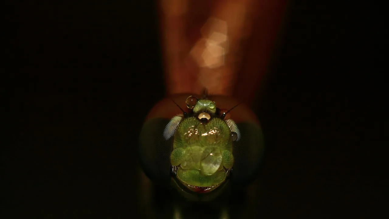 Website para loja, empresa ou serviço: qual é a diferença em Moçambique? - Imagem 2