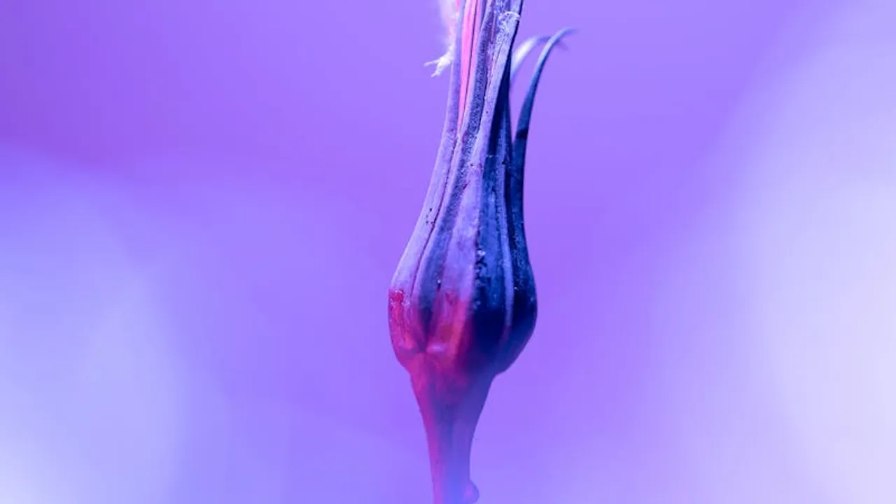 O meu negócio já precisa de website em Moçambique? - Imagem 1