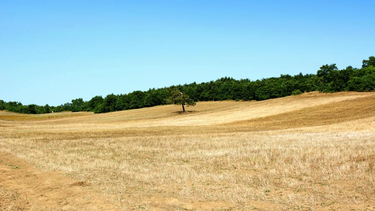 Website para loja, empresa ou serviço: qual é a diferença em Moçambique? - Imagem 3