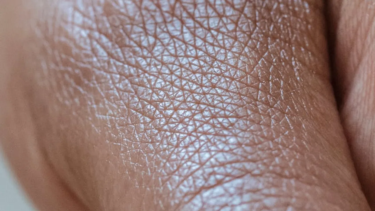 Como escolher um domínio para o meu negócio em Moçambique? - Imagem 2