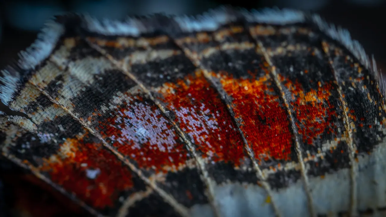 O que é inteligência artificial em Moçambique? - Imagem 2